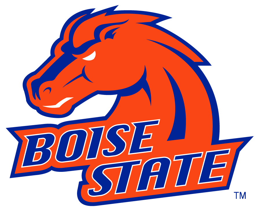 Boise State Broncos 2002-2012 Alternate Logo v3 t shirts iron on transfers